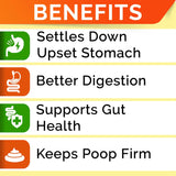 STRELLALAB Pumpkin Powder for Dogs 8 Oz.