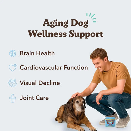 NATURAL DOG - Natural Dog Company Senior Dog Vitamins Chew 90 Masticables - The Red Vitamin MX - Multivitamínicos Para Perros - {{ shop.shopifyCountryName }}