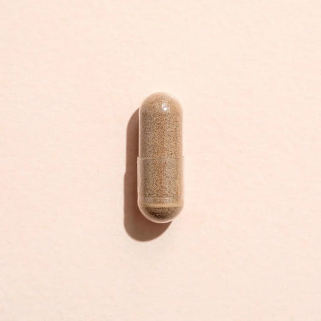 PLANT THERAPY - Plant Therapy Moringa 120 Capsulas - The Red Vitamin MX - Suplementos Alimenticios - {{ shop.shopifyCountryName }}