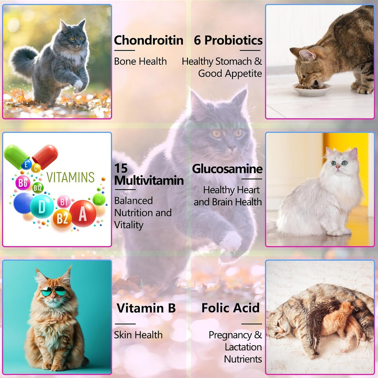 Oimmal 15-in-1 Multivitamin Drops for Cats 2 Fl.Oz.