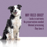 Whole Life Dog Healthy Skin and Coat 90 Servicios 340Gr.