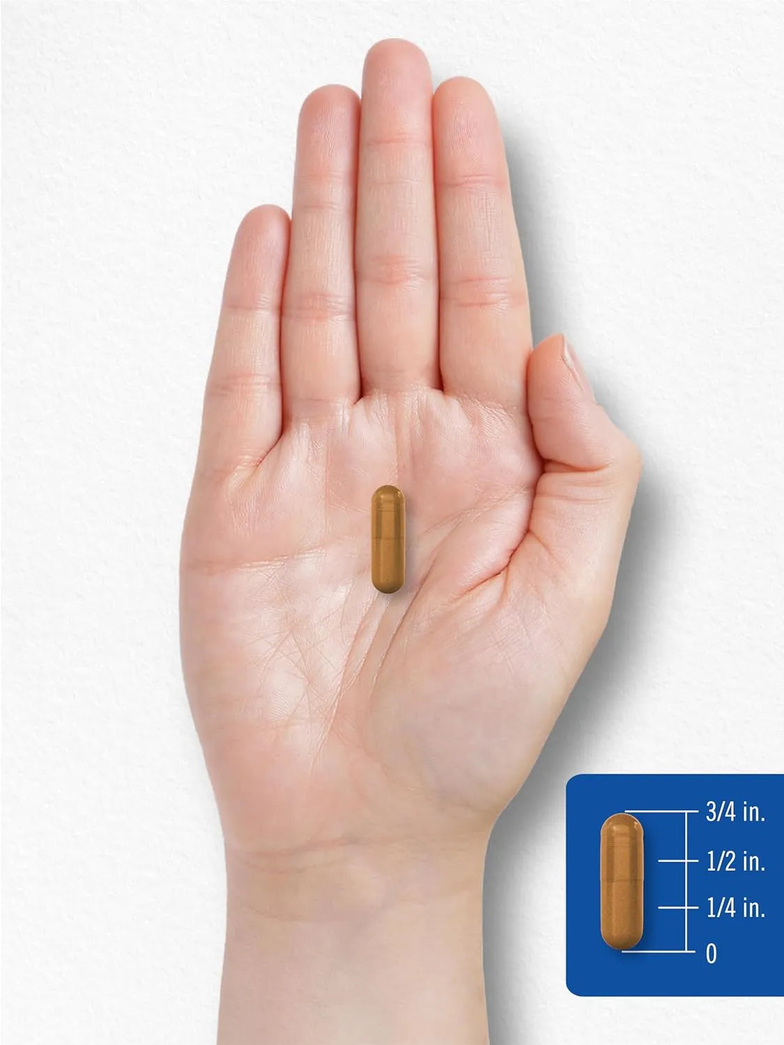 CARLYLE - Carlyle Vitamin B-2 400Mg. 180 Capsulas - The Red Vitamin MX - Suplementos Alimenticios - {{ shop.shopifyCountryName }}