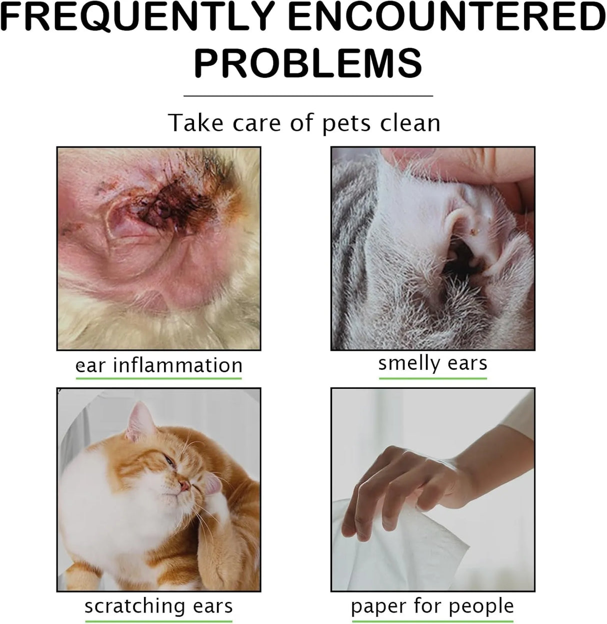 ELAIMEI - ELAIMEI Dog Ear Wipes 50 Toallitas - The Red Vitamin MX - Cuidado Del Oído De Perros - {{ shop.shopifyCountryName }}