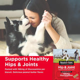 NUTRI-VET - Nutri-Vet Hip & Joint Biscuits for Dogs 454Gr. 2 Pack - The Red Vitamin MX - Cuidado De Cadera Y Articulaciones Para Perros - {{ shop.shopifyCountryName }}