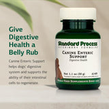 Standard Process Canine Enteric Support 30Gr.