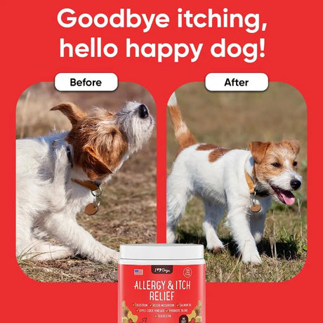IHEARTDOGS - iHeartDogs Allergy & Itch Relief for Dogs 90 Masticables - The Red Vitamin MX - Remedios Para La Picazón De Perros - {{ shop.shopifyCountryName }}