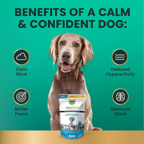 VETRISCIENCE - VetriScience Long Lasting Calm & Confident Calming Chews Bacon 60 Masticables - The Red Vitamin MX - Relajantes Para Perros - {{ shop.shopifyCountryName }}