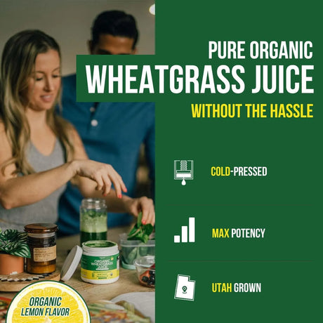 TRIQUETRA - Triquetra Health Organic Wheatgrass Juice Powder Lemon 60 Servicios 175Gr. - The Red Vitamin MX - Suplementos Alimenticios - {{ shop.shopifyCountryName }}