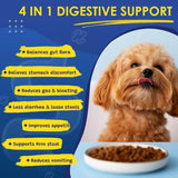 SHINEPAWS - SHINEPAWS Probiotics for Dogs 120 Masticables - The Red Vitamin MX - Probióticos Para Perros - {{ shop.shopifyCountryName }}