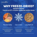 PAWRISE - PawRise Dog Multivitamins with Probiotics, Glucosamine, and Omega-3 200 Masticables - The Red Vitamin MX - Multivitamínicos Para Perros - {{ shop.shopifyCountryName }}