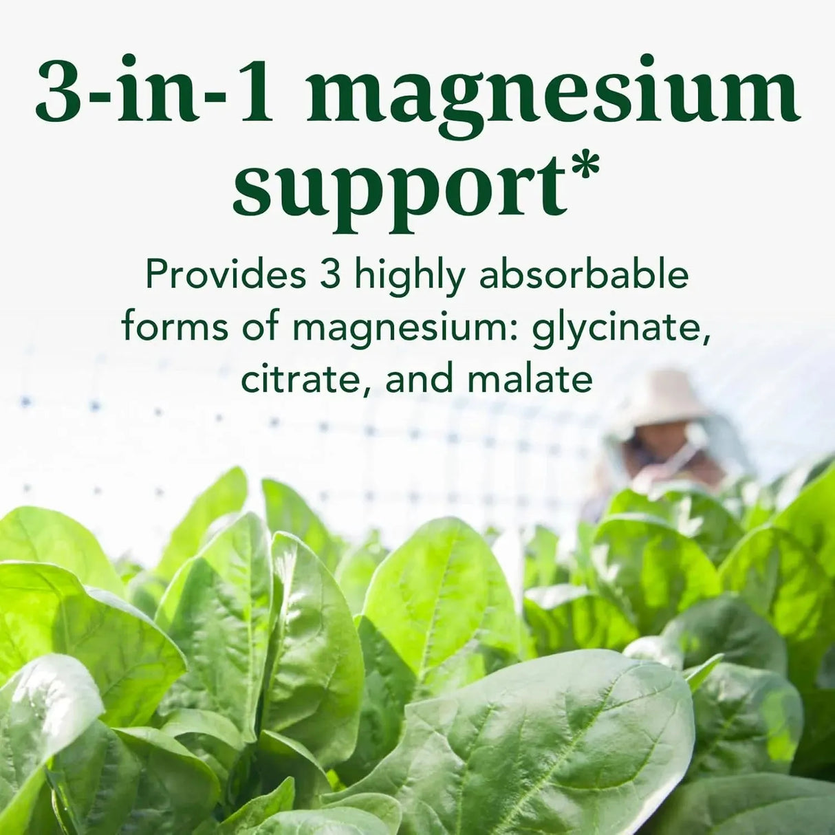 INNATE - INNATE Response Formulas Magnesium 300Mg. 120 Capsulas - The Red Vitamin MX - Suplementos Alimenticios - {{ shop.shopifyCountryName }}