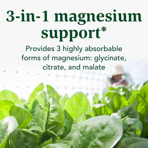 INNATE - INNATE Response Formulas Magnesium 300Mg. 120 Capsulas - The Red Vitamin MX - Suplementos Alimenticios - {{ shop.shopifyCountryName }}