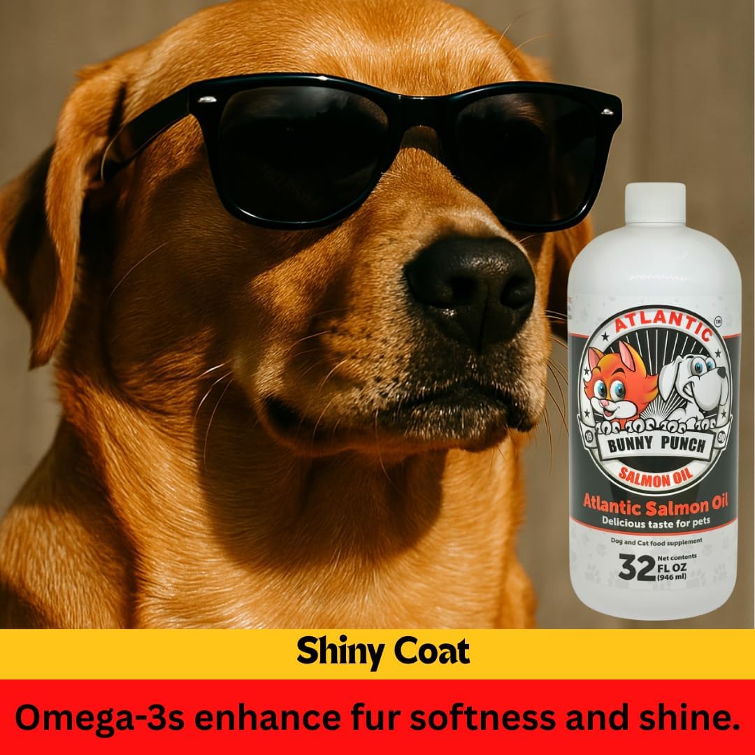 BUNNY PUNCH Salmon Oil for Dogs & Cats 32 Fl.Oz.