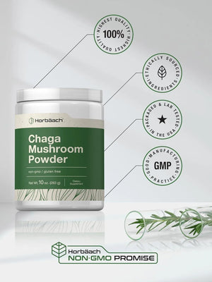 HORBAACH - Horbaach Chaga Mushroom Powder 283Gr. - The Red Vitamin MX - Suplementos Alimenticios - {{ shop.shopifyCountryName }}