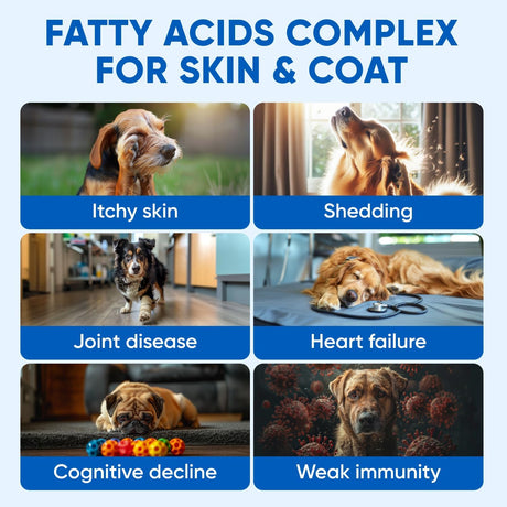PAWZITIVE PETS - Pawzitive Pets Omega 3 Fish Oil for Dogs Chews 120 Masticables - The Red Vitamin MX - Aceite De Pescado Para Perros - {{ shop.shopifyCountryName }}