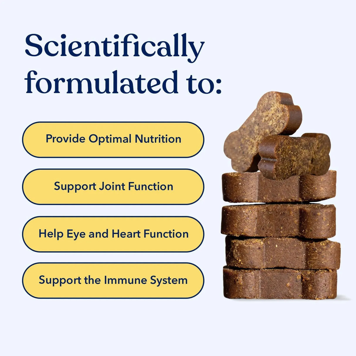 HONEST PAWS - Honest Paws Dog Multivitamin Soft Chews Beef Flavor 90 Masticables - The Red Vitamin MX - Multivitamínicos Para Perros - {{ shop.shopifyCountryName }}