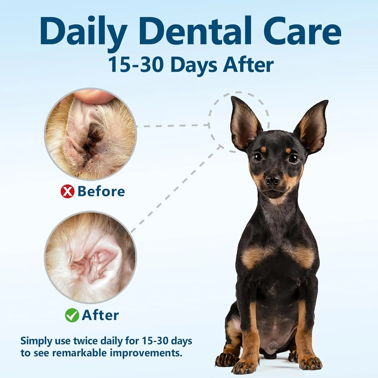 TZQPOKUT - Tzqpokut Dog Ear Cleaner Wipes 50 Toallitas - The Red Vitamin MX - Cuidado Del Oído De Perros - {{ shop.shopifyCountryName }}