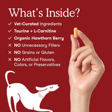Fera Pets Cardiac Supplement for Dogs & Cats 120 Capsulas