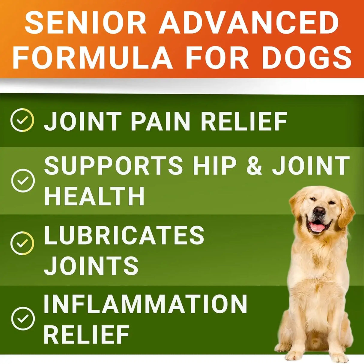 STRELLALAB - STRELLALAB Senior Advanced Glucosamine Chondroitin Joint for Dogs Bacon Flavor 120 Masticables 2 Pack - The Red Vitamin MX - Cuidado De Cadera Y Articulaciones Para Perros - {{ shop.shopifyCountryName }}