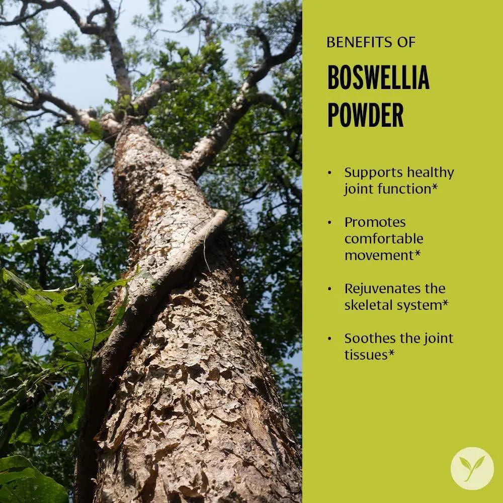 BANYAN - Banyan Botanicals Boswellia Powder 227Gr. - The Red Vitamin MX - Suplementos Alimenticios - {{ shop.shopifyCountryName }}