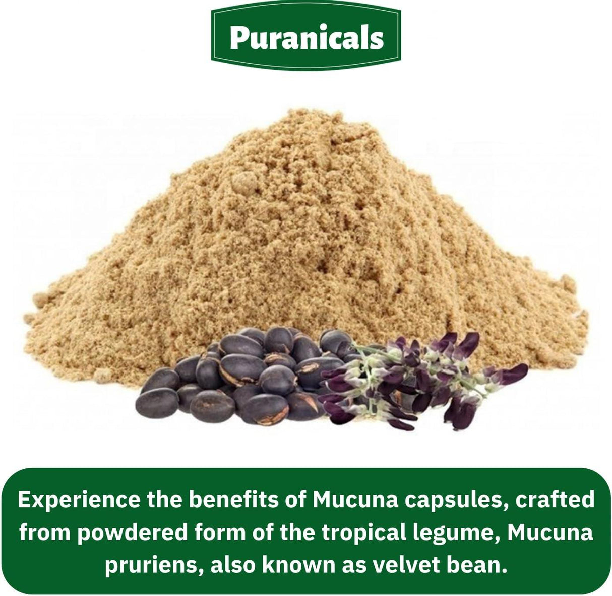 PURANICALS - Puranicals Mucuna Premium 320 Capsulas - The Red Vitamin MX - Suplementos Alimenticios - {{ shop.shopifyCountryName }}