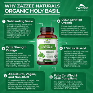 ZAZZEE NATURALS - Zazzee USDA Organic Holy Basil 20:1 Extract 6000Mg. 120 Capsulas - The Red Vitamin MX - Suplementos Alimenticios - {{ shop.shopifyCountryName }}