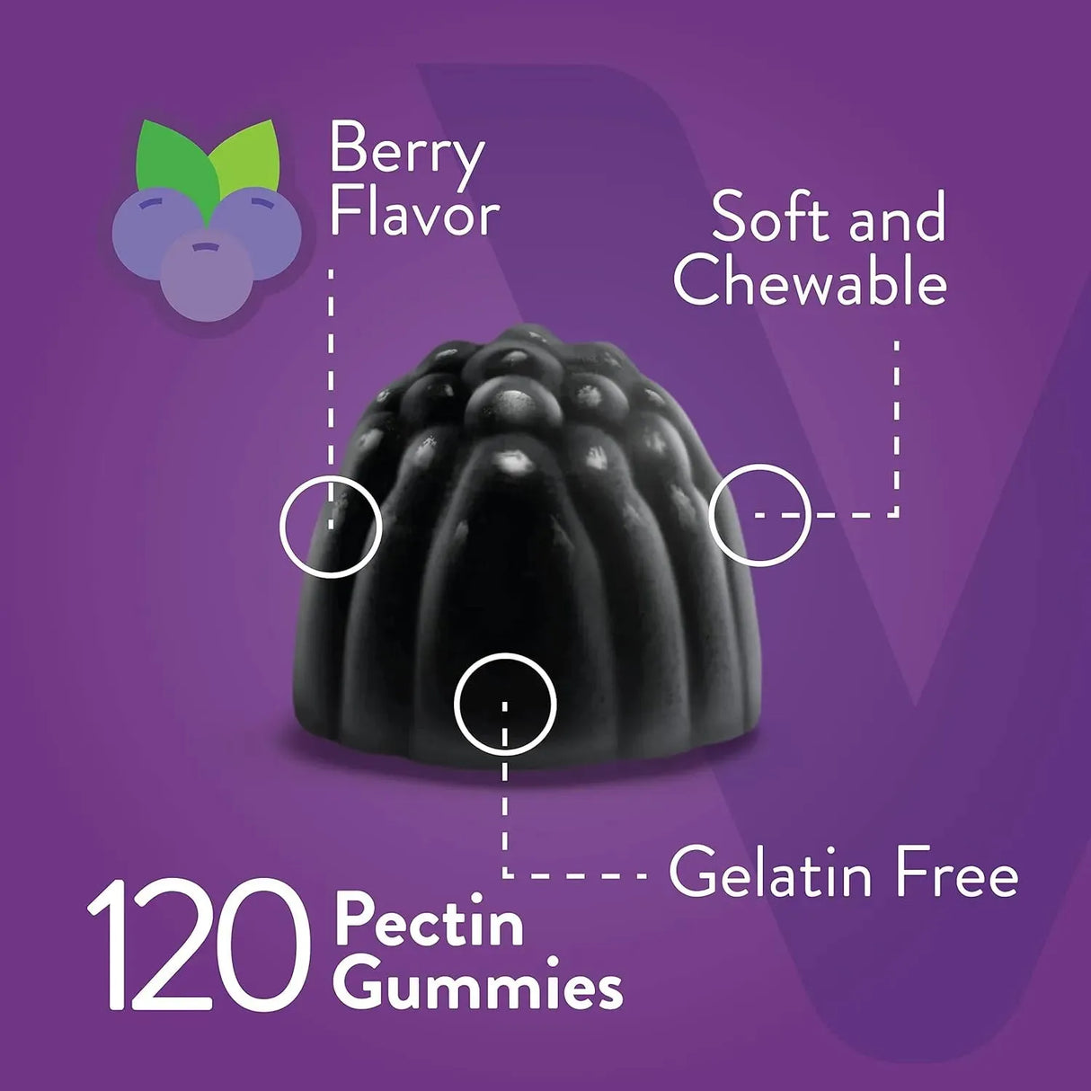 VITEEY - Viteey Sambucus Elderberry Gummies 60 Gomitas 2 Pack - The Red Vitamin MX - Suplementos Alimenticios - {{ shop.shopifyCountryName }}