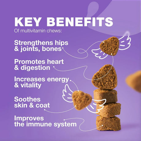 CHEWIA - CHEWIA 15 in 1 Dog Multivitamin Chews 180 Masticables - The Red Vitamin MX - Multivitamínicos Para Perros - {{ shop.shopifyCountryName }}