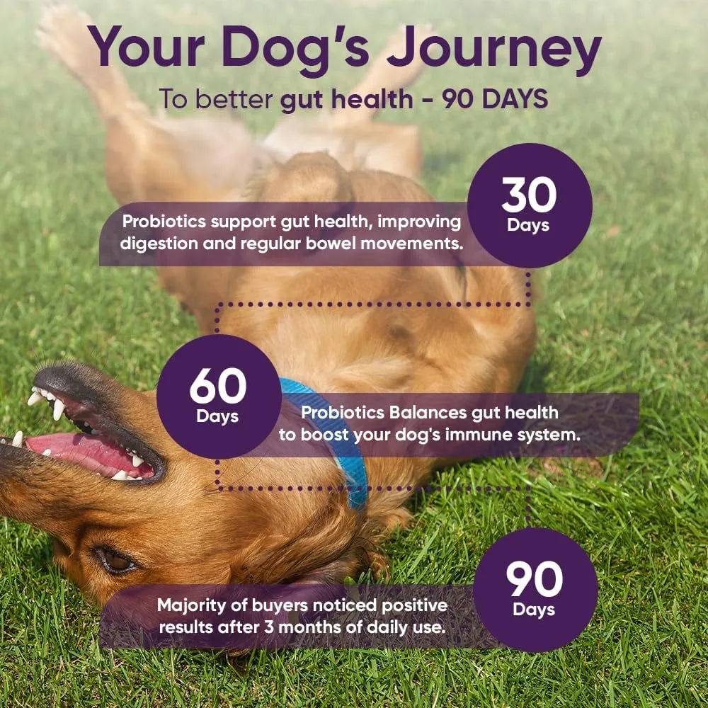 IHEARTDOGS - iHeartDogs 3-in-1 Probiotic for Dogs 90 Masticables - The Red Vitamin MX - Probióticos Para Perros - {{ shop.shopifyCountryName }}
