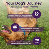 IHEARTDOGS - iHeartDogs 3-in-1 Probiotic for Dogs 90 Masticables - The Red Vitamin MX - Probióticos Para Perros - {{ shop.shopifyCountryName }}