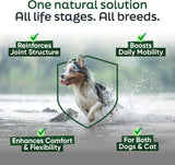 DAYBREAK NUTRITION - Daybreak Nutrition Pure Green Lipped Mussel Powder for Dogs and Cats 75Gr. - The Red Vitamin MX - Cuidado De Cadera Y Articulaciones Para Perros - {{ shop.shopifyCountryName }}