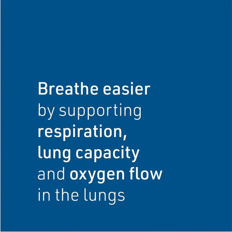 NATURAL FACTORS - Natural Factors Lung, Bronchial & Sinus Health 90 Tabletas - The Red Vitamin MX - Suplementos Alimenticios - {{ shop.shopifyCountryName }}