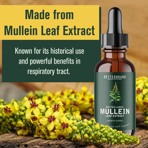 BETTERBRAND - Betterbrand BetterLungs Mullein Leaf Extract Support Lung Cleanse 60Ml. - The Red Vitamin MX - Suplementos Alimenticios - {{ shop.shopifyCountryName }}