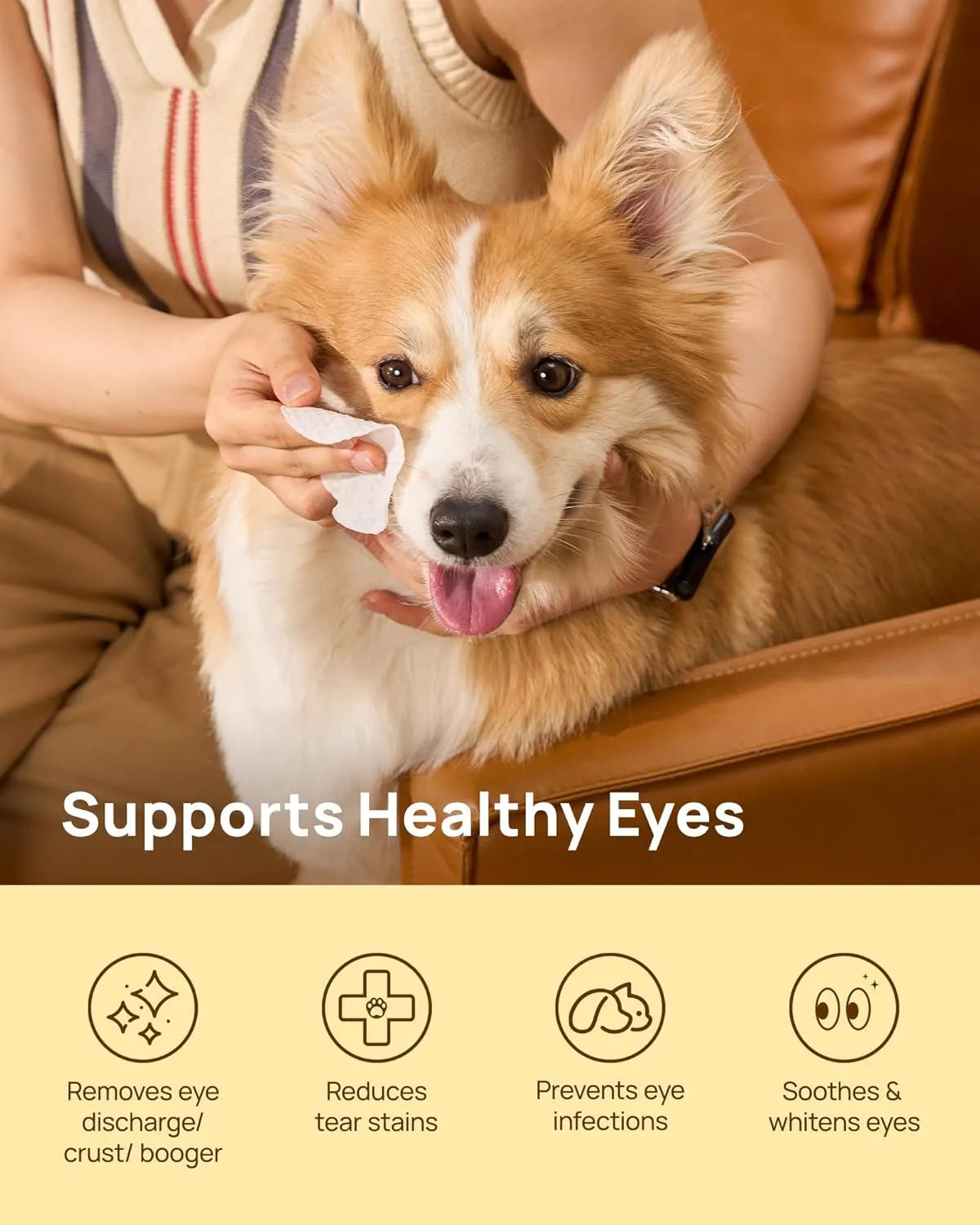 HICC PET - HICC PET Eyes Wipes for Dogs & Cats Coconut Scent 100 Toallitas - The Red Vitamin MX - Cuidado De Los Ojos De Los Perros - {{ shop.shopifyCountryName }}