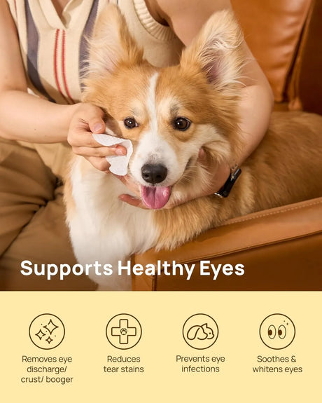 HICC PET - HICC PET Eyes Wipes for Dogs & Cats Coconut Scent 100 Toallitas - The Red Vitamin MX - Cuidado De Los Ojos De Los Perros - {{ shop.shopifyCountryName }}