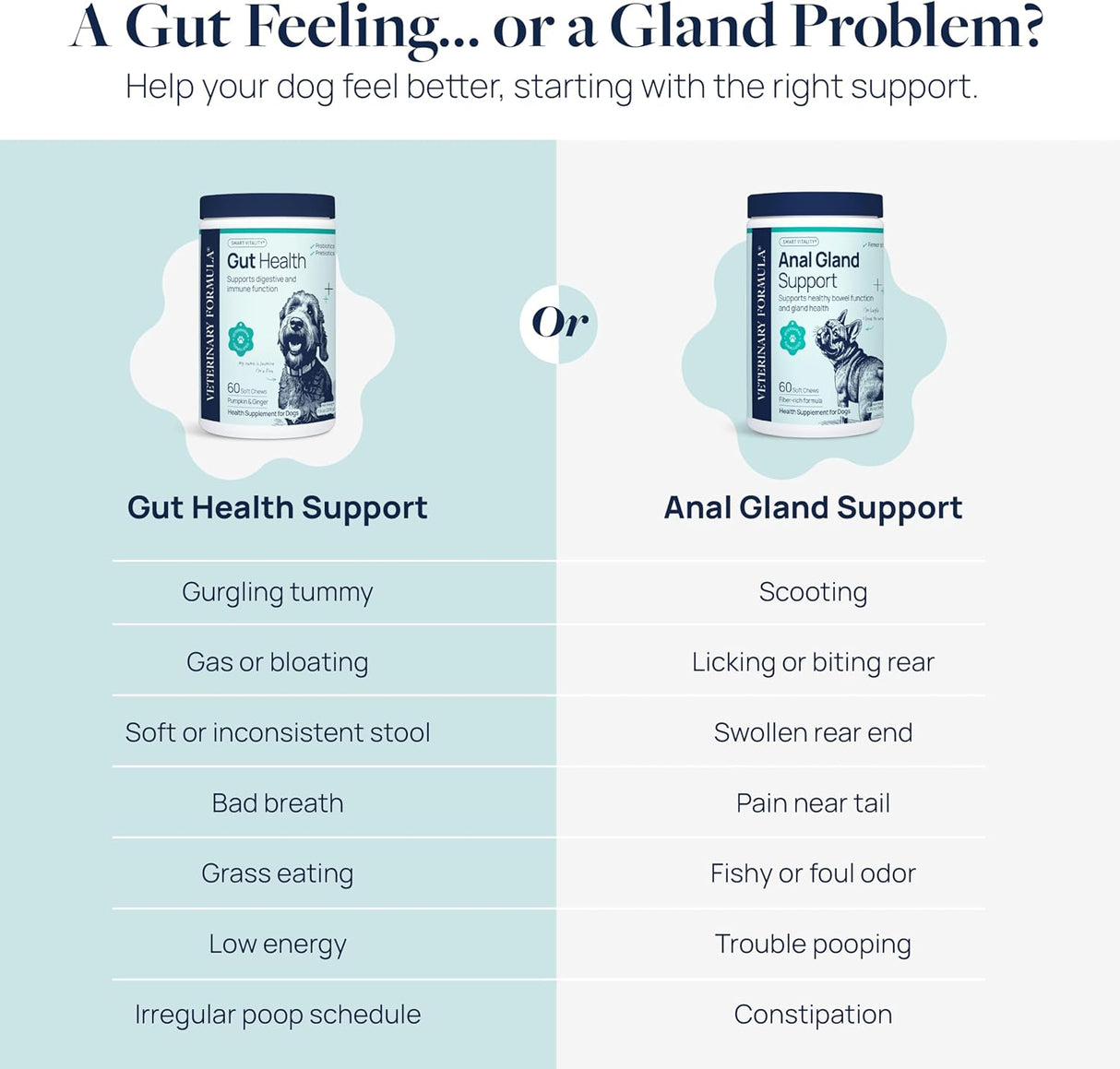Veterinary Formula Anal Gland Support for Dogs 60 Masticables