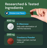 VETRISCIENCE - VETRISCIENCE Veterinary Strength UT Health Chews 60 Masticables - The Red Vitamin MX - Salud De Tracto Urinario Para Perros - {{ shop.shopifyCountryName }}