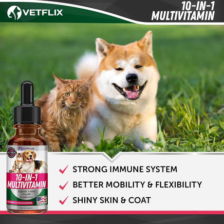 VETFLIX - Vetflix 10-in-1 Essential Multivitamin Blend 60Ml. - The Red Vitamin MX - Multivitamínicos Para Perros - {{ shop.shopifyCountryName }}