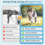 Cudory Cat Multivitamin Crunchy & Creamy Cheese Chew 500 Masticables