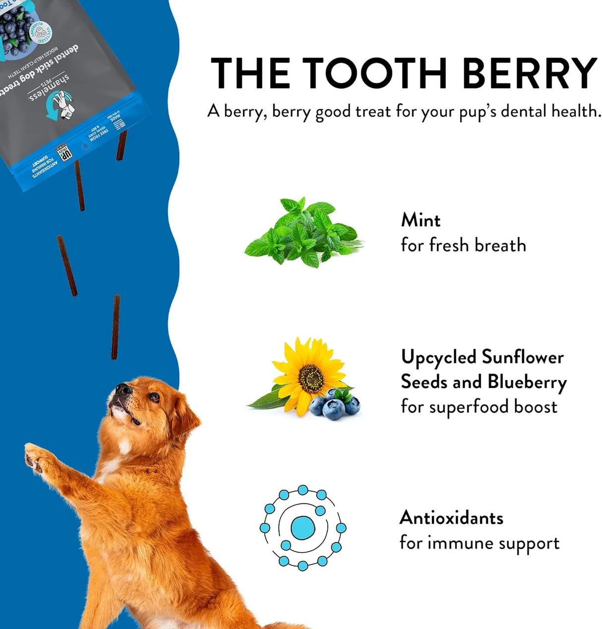 SHAMELESS DOGS - Shameless Pets Toothberry Dental Chews for Dogs 32 Piezas - The Red Vitamin MX - Cuidado Dental Para Perros - {{ shop.shopifyCountryName }}