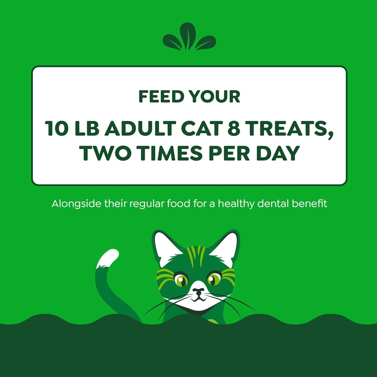 Greenies Feline Adult Dental Cat Treats Savory Salmon Flavor 595Gr.