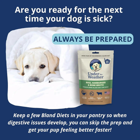 UNDER THE WEATHER - Under the Weather Bland Diet for Dogs Rice Hamburger & Bone Broth 6 Oz. 2 Pack - The Red Vitamin MX - Medicamentos Sin Receta Para Perros - {{ shop.shopifyCountryName }}