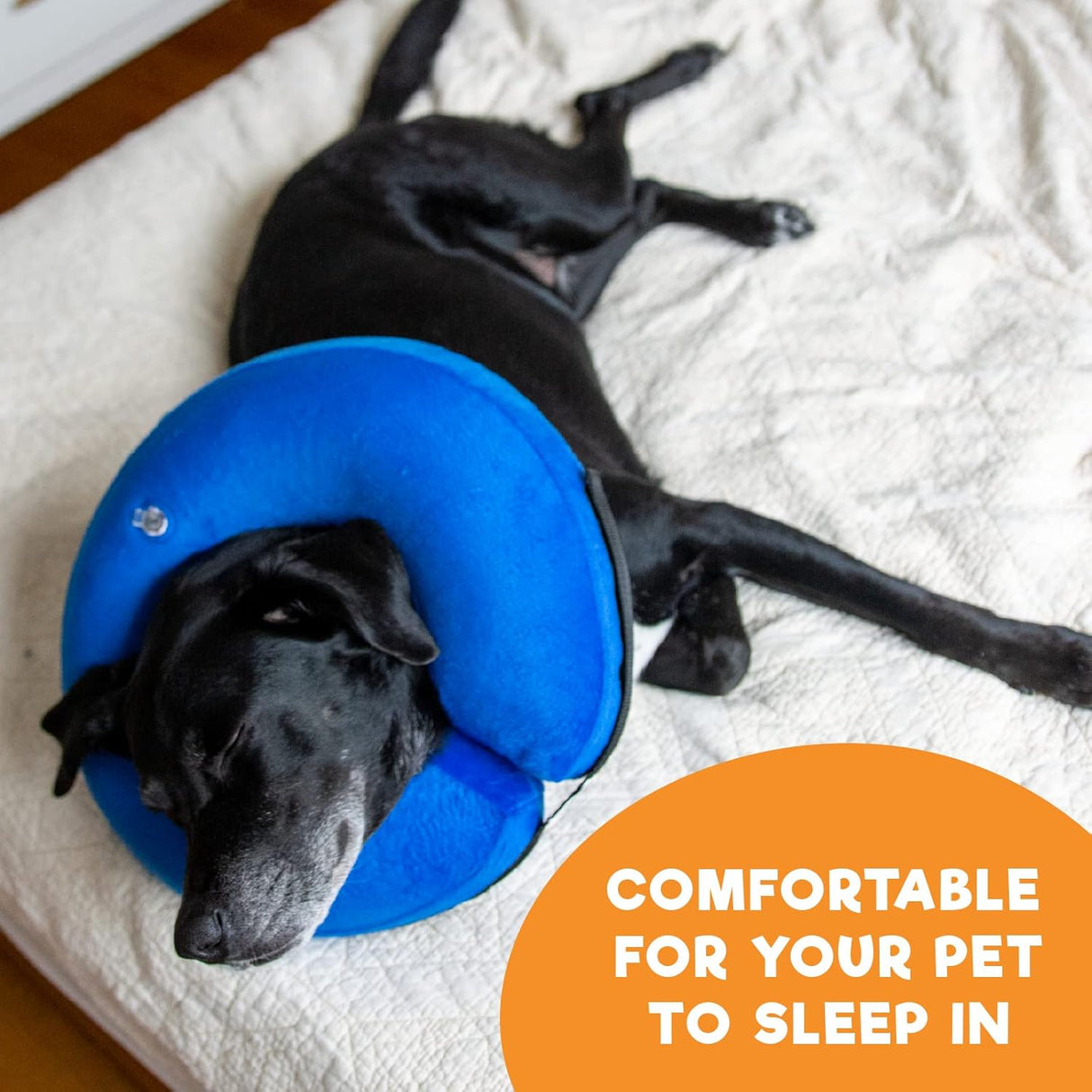 BENCMATE Inflatable Dog Cone Collar Alternative MEDIUM PLUS Blue