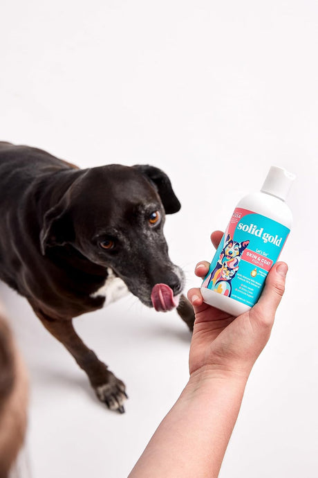 SOLID GOLD - Solid Gold Fish Oil for Dogs & Cats 8 Fl.Oz. - The Red Vitamin MX - Aceite De Pescado Para Perros - {{ shop.shopifyCountryName }}