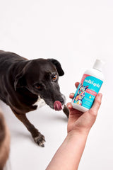Solid Gold Fish Oil for Dogs & Cats 16 Fl.Oz.