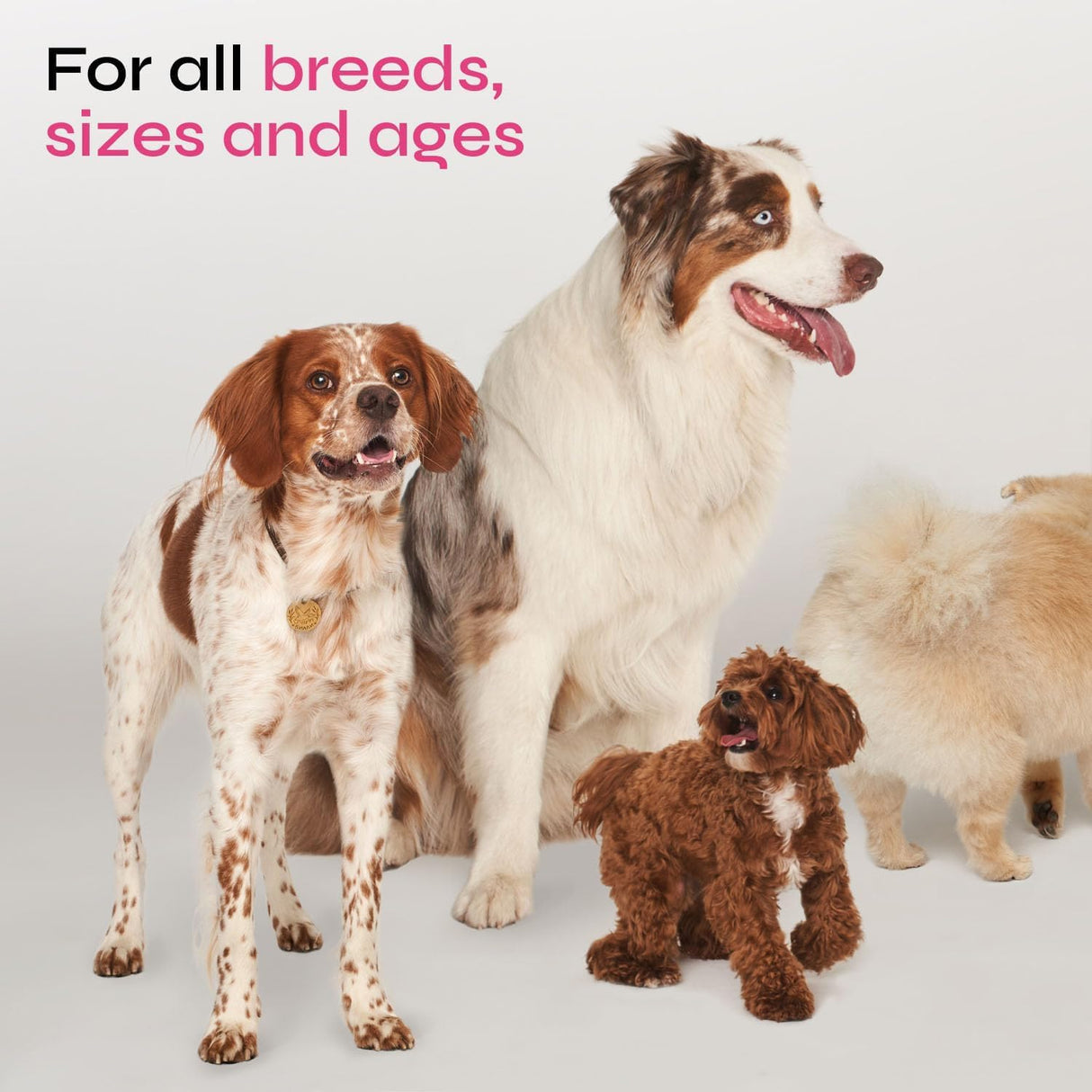 Vetrica Dog Allergy Relief Chews 130 Masticables