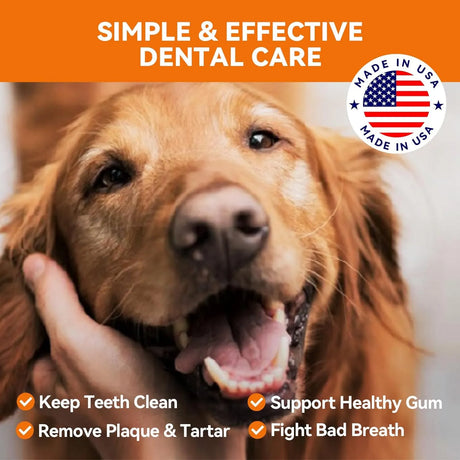 PUAINTA - PUAINTA Dog Teeth Cleaning Powder 90Gr. - The Red Vitamin MX - Cuidado Dental Para Perros - {{ shop.shopifyCountryName }}