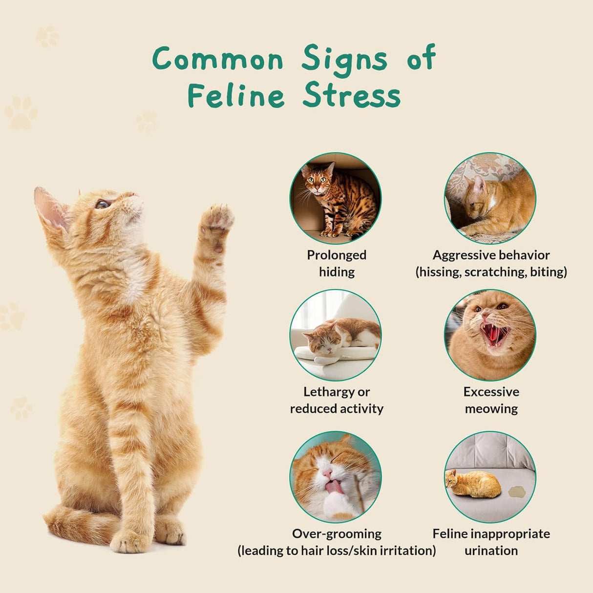 Pawith Cat Calming Diffuser 1 Pack