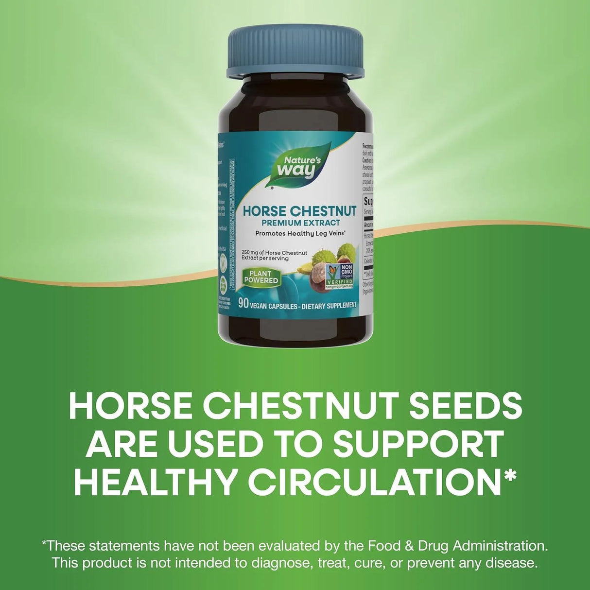 NATURE'S WAY - Nature's Way Standardized Horse Chestnut 250Mg. 90 Capsulas - The Red Vitamin MX - Suplementos Alimenticios - {{ shop.shopifyCountryName }}