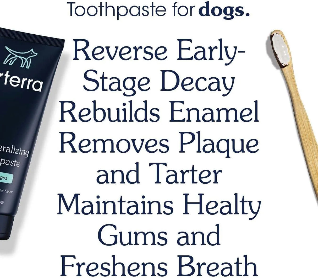 ARTERRA - Arterra Remineralizing Dog Toothpaste 4 Oz. - The Red Vitamin MX - Cuidado Dental Para Perros - {{ shop.shopifyCountryName }}